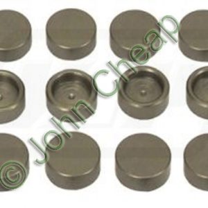Valve cap (x12) Valve stem - T20129x12